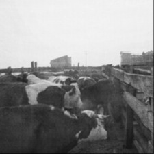 Instalaciones de Feria La Calera